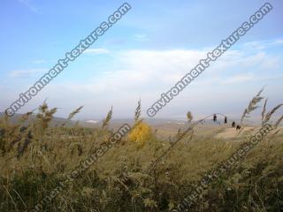 Photo Texture of Background Autumn Nature  0007